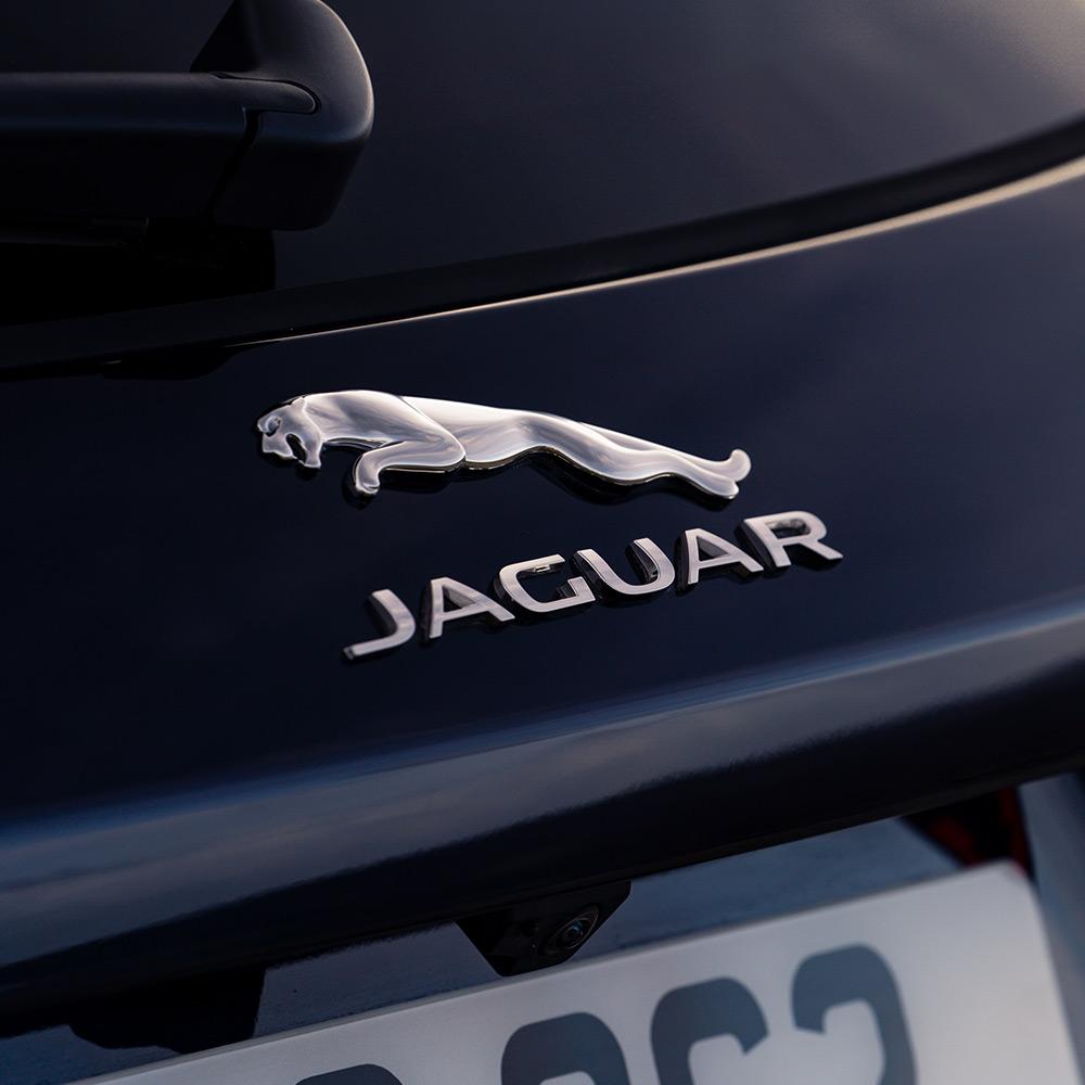 Jaguar Badge