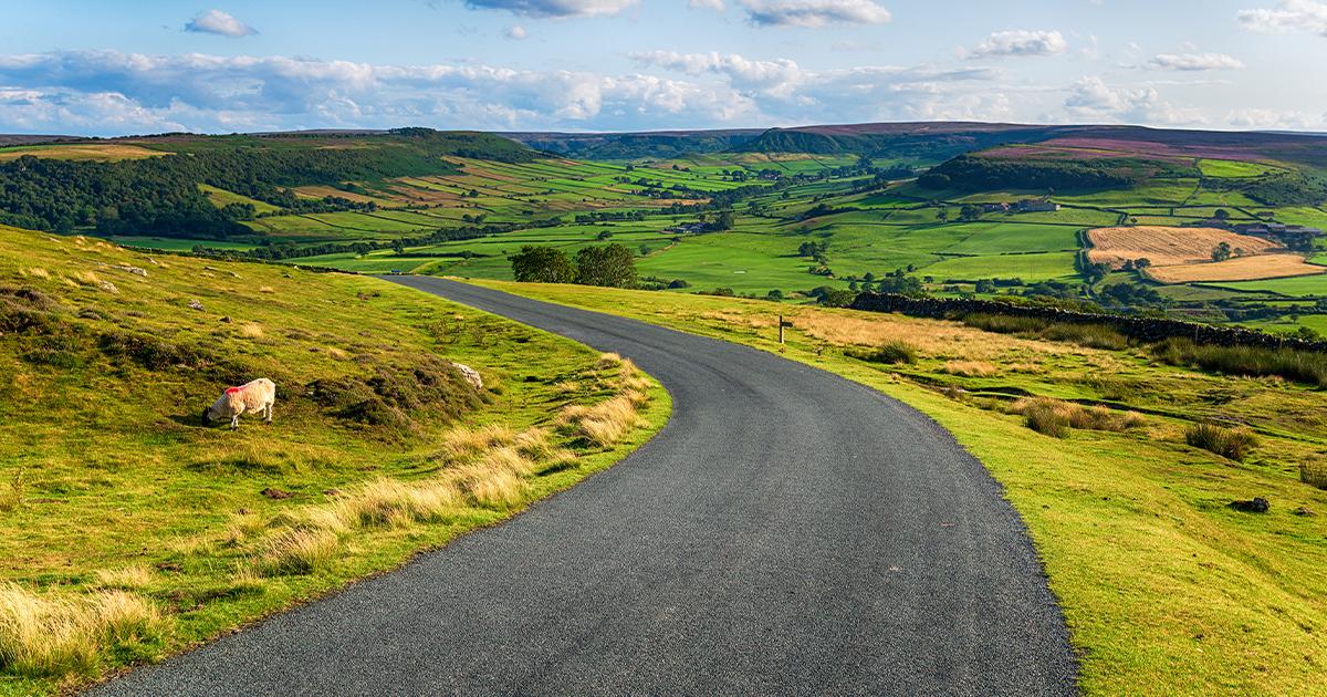 North Yorkshire Moors